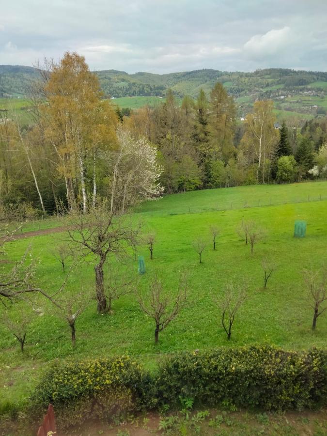 Apartament W Ogrodzie Tylka Eksteriør billede